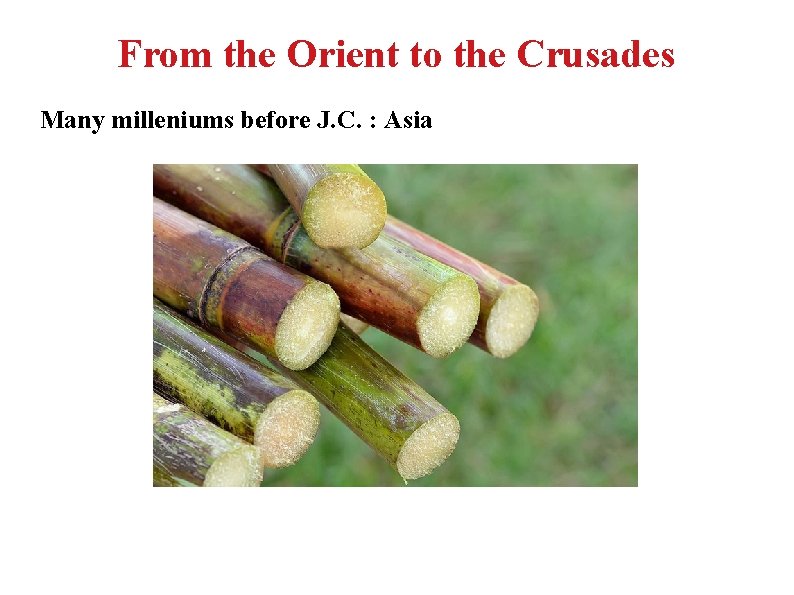 From the Orient to the Crusades Many milleniums before J. C. : Asia 