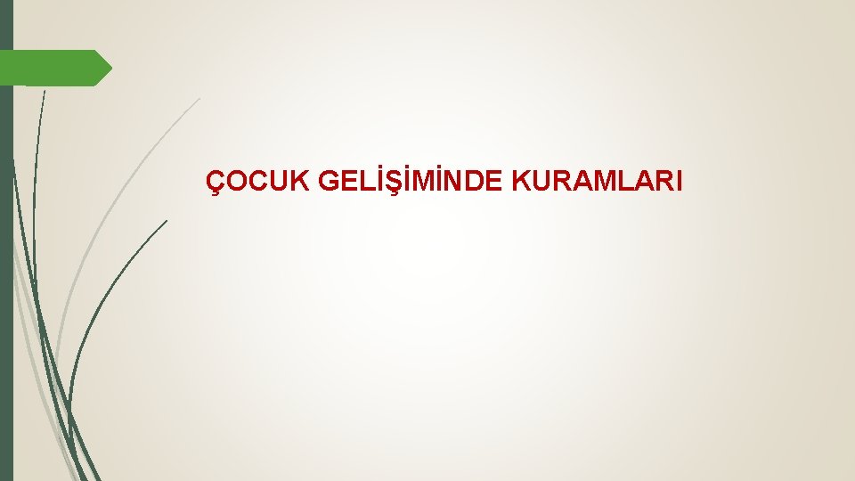 ÇOCUK GELİŞİMİNDE KURAMLARI 