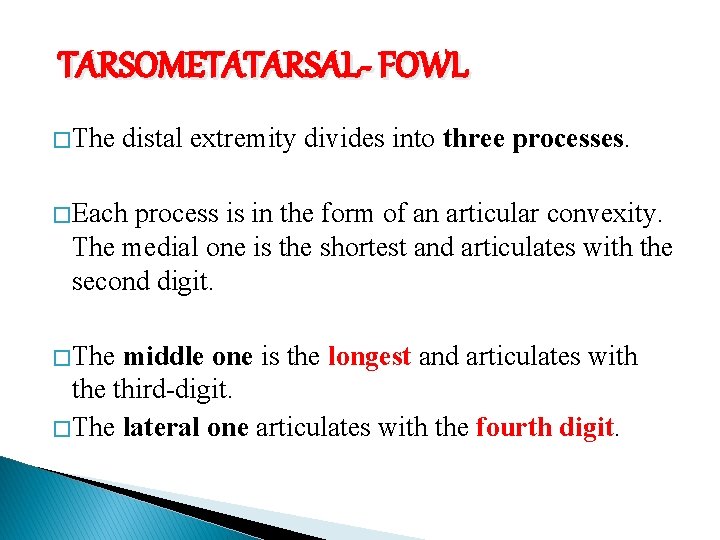 TARSOMETATARSAL- FOWL � The distal extremity divides into three processes. � Each process is