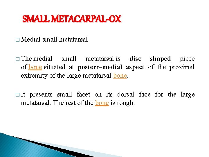 SMALL METACARPAL-OX � Medial small metatarsal � The medial small metatarsal is disc shaped