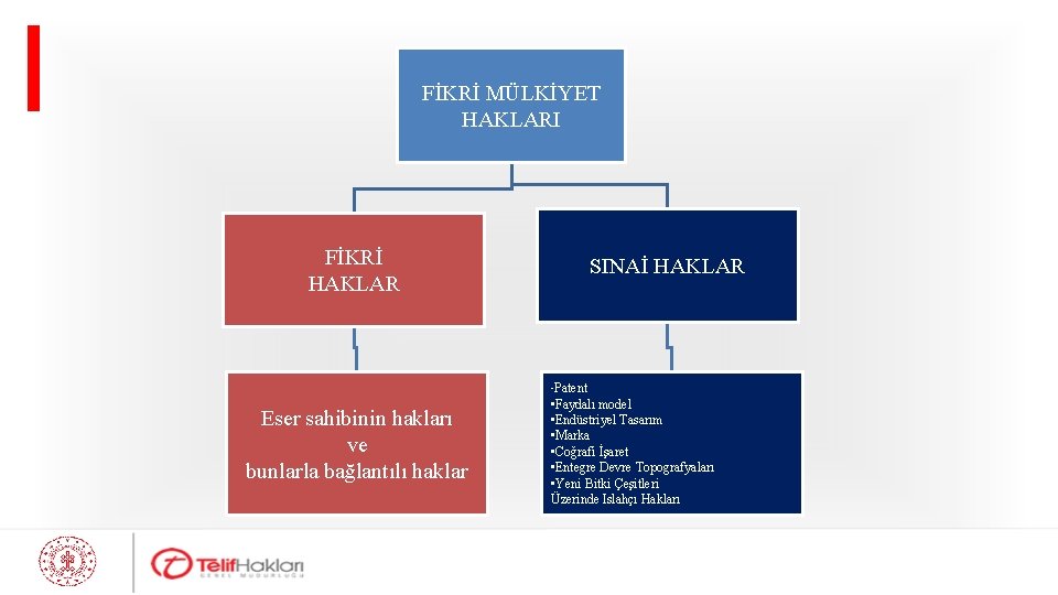 FİKRİ MÜLKİYET HAKLARI FİKRİ HAKLAR SINAİ HAKLAR • Patent Eser sahibinin hakları ve bunlarla