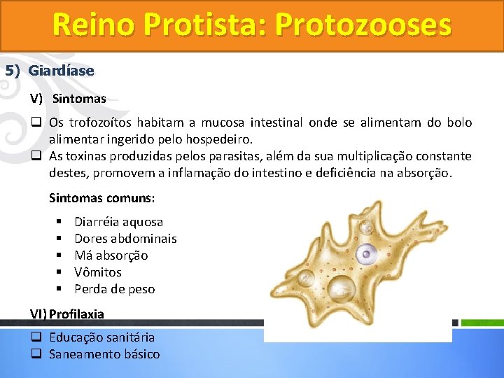 Reino Protista: Protozooses 5) Giardíase V) Sintomas q Os trofozoítos habitam a mucosa intestinal Reino Protista: Protozooses 5) Giardíase V) Sintomas q Os trofozoítos habitam a mucosa intestinal
