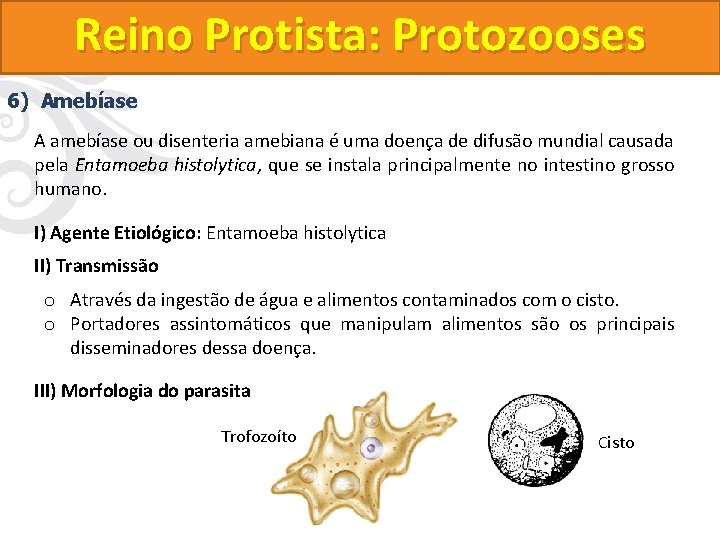 Reino Protista: Protozooses 6) Amebíase A amebíase ou disenteria amebiana é uma doença de Reino Protista: Protozooses 6) Amebíase A amebíase ou disenteria amebiana é uma doença de