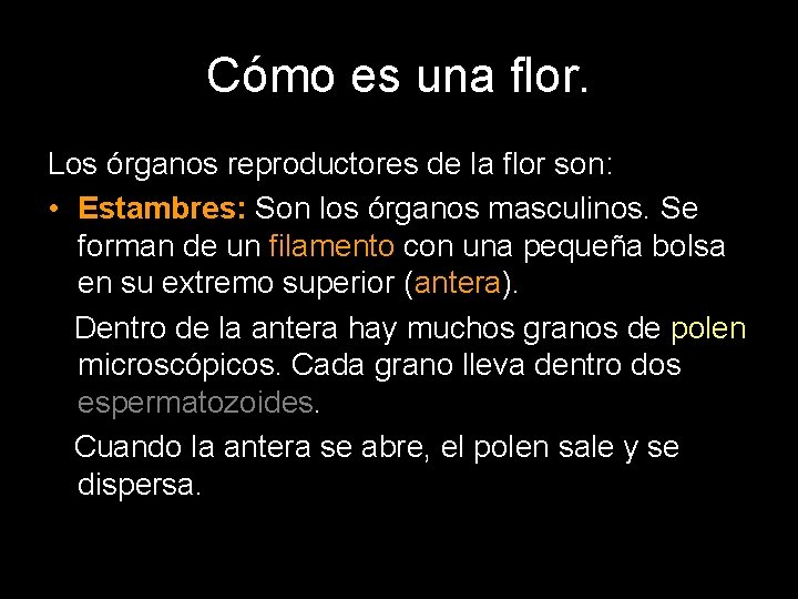 Cómo es una flor. Los órganos reproductores de la flor son: • Estambres: Son Cómo es una flor. Los órganos reproductores de la flor son: • Estambres: Son