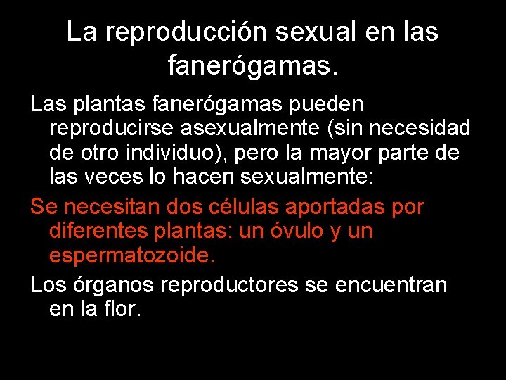 La reproducción sexual en las fanerógamas. Las plantas fanerógamas pueden reproducirse asexualmente (sin necesidad