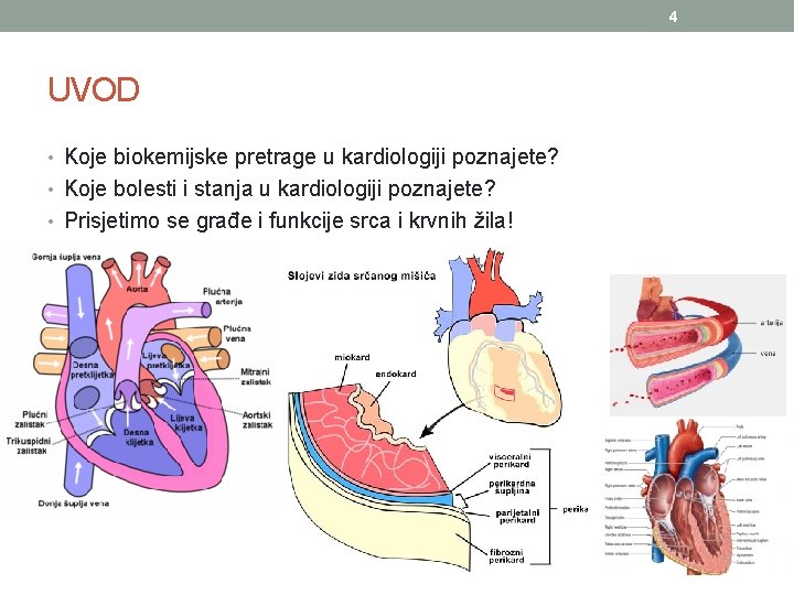 4 UVOD • Koje biokemijske pretrage u kardiologiji poznajete? • Koje bolesti i stanja 4 UVOD • Koje biokemijske pretrage u kardiologiji poznajete? • Koje bolesti i stanja
