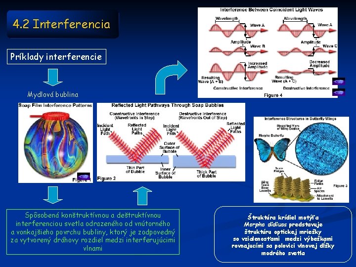 4. 2 Interferencia Príklady interferencie Mydlová bublina Spôsobená konštruktívnou a deštruktívnou interferenciou svetla odrazeného