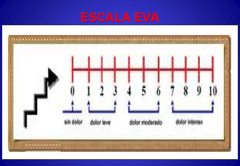 ESCALA EVA 