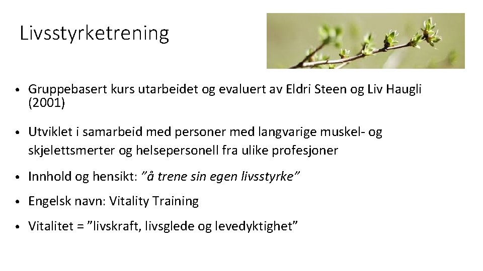 Livsstyrketrening • Gruppebasert kurs utarbeidet og evaluert av Eldri Steen og Liv Haugli (2001)