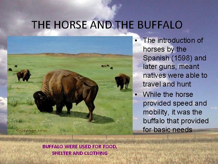 THE HORSE AND THE BUFFALO • The introduction of horses by the Spanish (1598)
