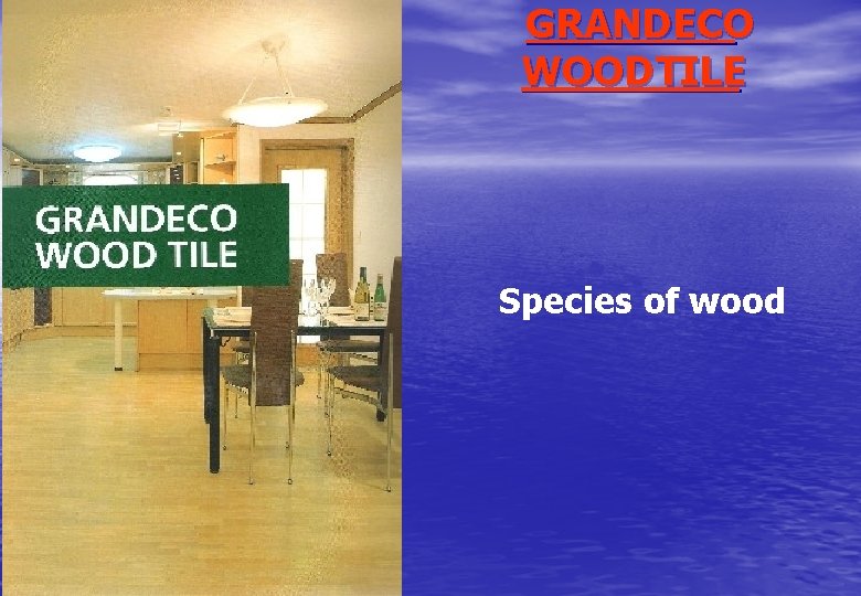 GRANDECO WOOD TILE Species of wood 
