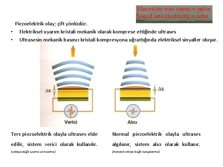 Piezoelektrik olay; çift yönlüdür. • Elektriksel uyarım kristali mekanik olarak komprese ettiğinde ultrases •