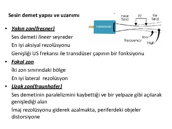 Sesin demet yapısı ve uzanımı • Yakın zon(fresner) Ses demeti lineer seyreder En iyi