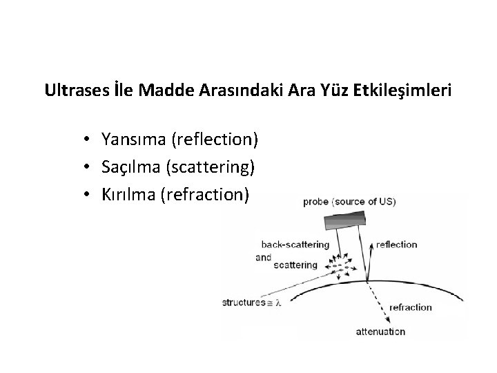 Ultrases İle Madde Arasındaki Ara Yüz Etkileşimleri • Yansıma (reflection) • Saçılma (scattering) •