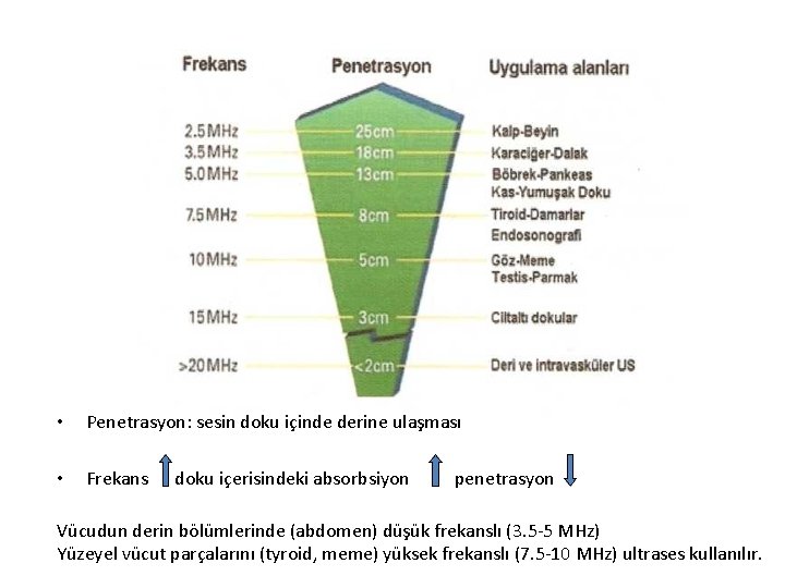  • Penetrasyon: sesin doku içinde derine ulaşması • Frekans doku içerisindeki absorbsiyon penetrasyon