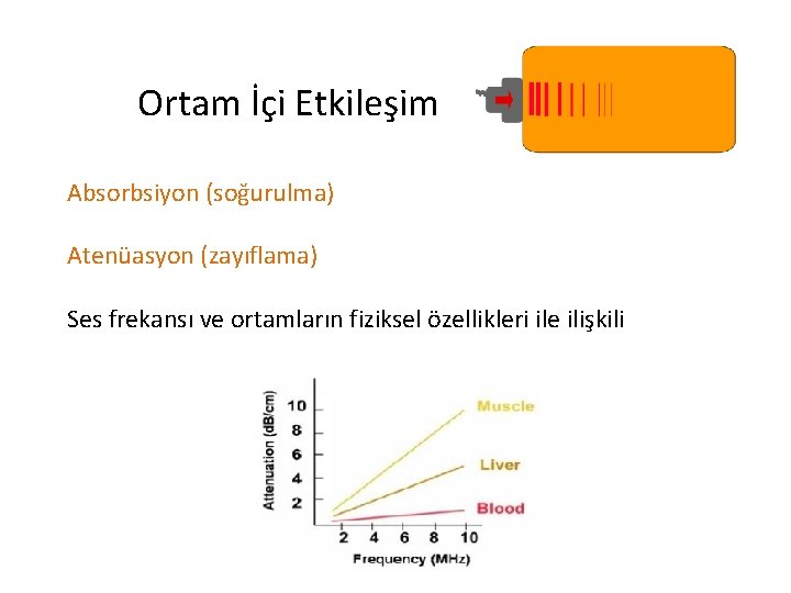 Ortam İçi Etkileşim Absorbsiyon (soğurulma) Atenüasyon (zayıflama) Ses frekansı ve ortamların fiziksel özellikleri ile