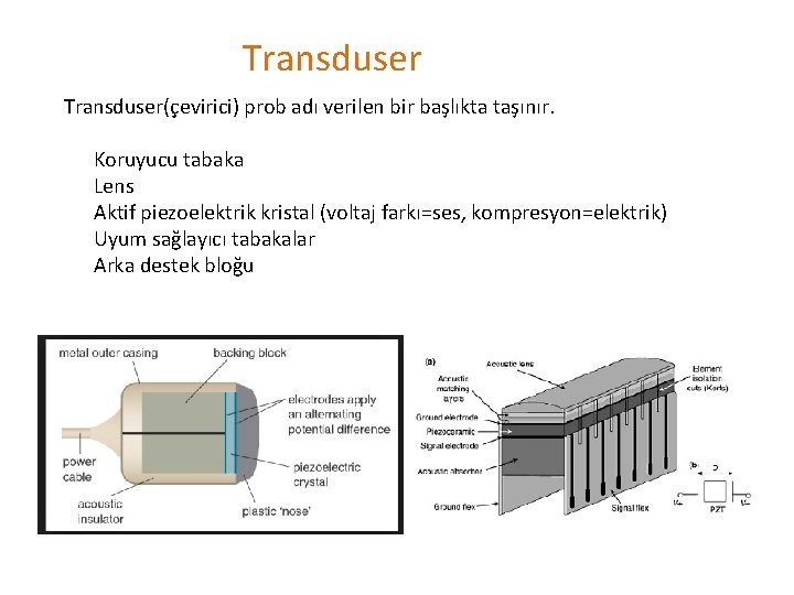 Transduser(çevirici) prob adı verilen bir başlıkta taşınır. Koruyucu tabaka Lens Aktif piezoelektrik kristal (voltaj