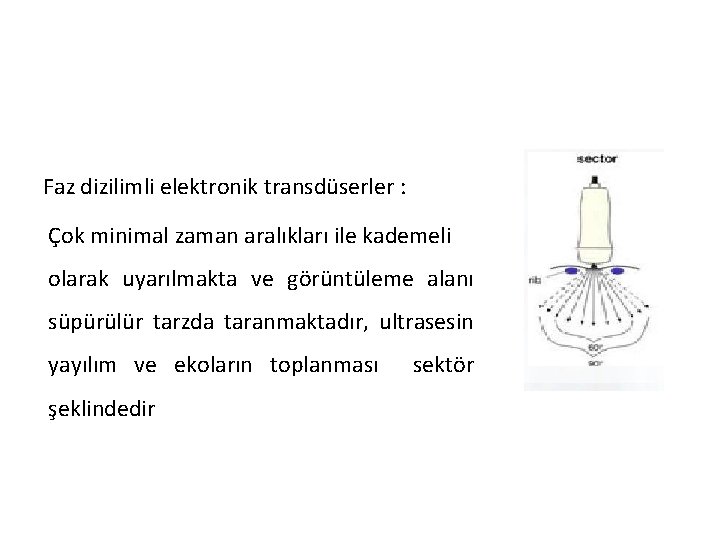 Faz dizilimli elektronik transdüserler : Çok minimal zaman aralıkları ile kademeli olarak uyarılmakta ve