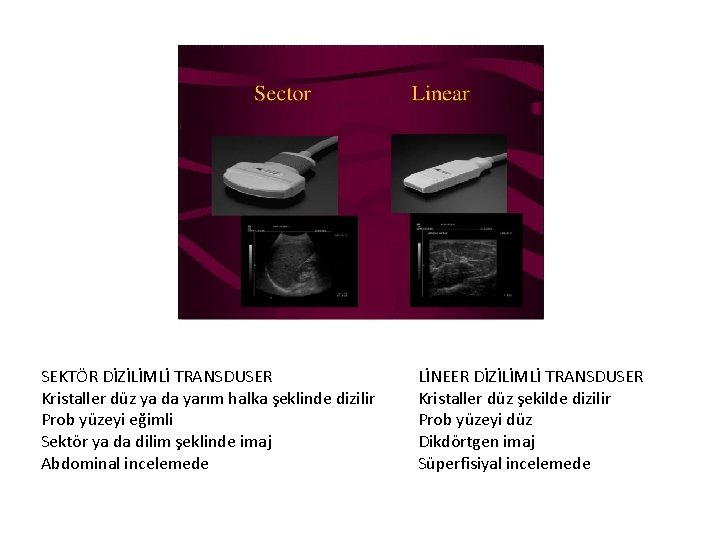 SEKTÖR DİZİLİMLİ TRANSDUSER Kristaller düz ya da yarım halka şeklinde dizilir Prob yüzeyi eğimli