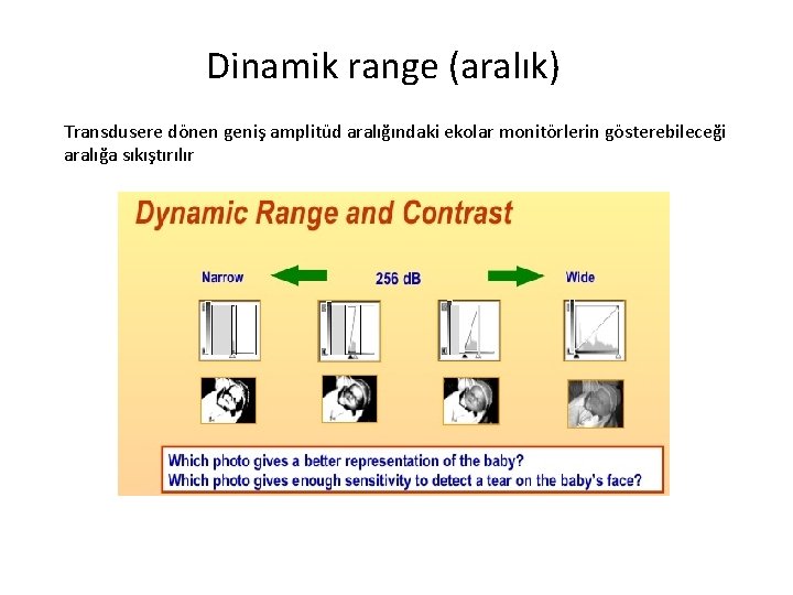 Dinamik range (aralık) Transdusere dönen geniş amplitüd aralığındaki ekolar monitörlerin gösterebileceği aralığa sıkıştırılır 
