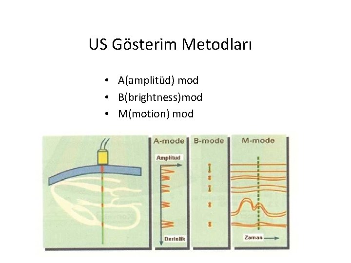US Gösterim Metodları • A(amplitüd) mod • B(brightness)mod • M(motion) mod 