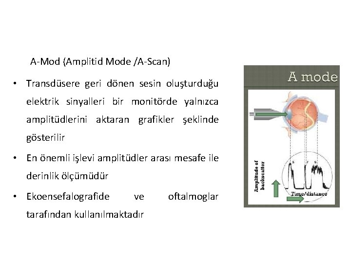 A-Mod (Amplitid Mode /A-Scan) • Transdüsere geri dönen sesin oluşturduğu elektrik sinyalleri bir monitörde