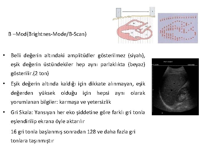 B –Mod(Brightnes-Mode/B-Scan) • Belli değerin altındaki amplitüdler gösterilmez (siyah), eşik değerin üstündekiler hep aynı