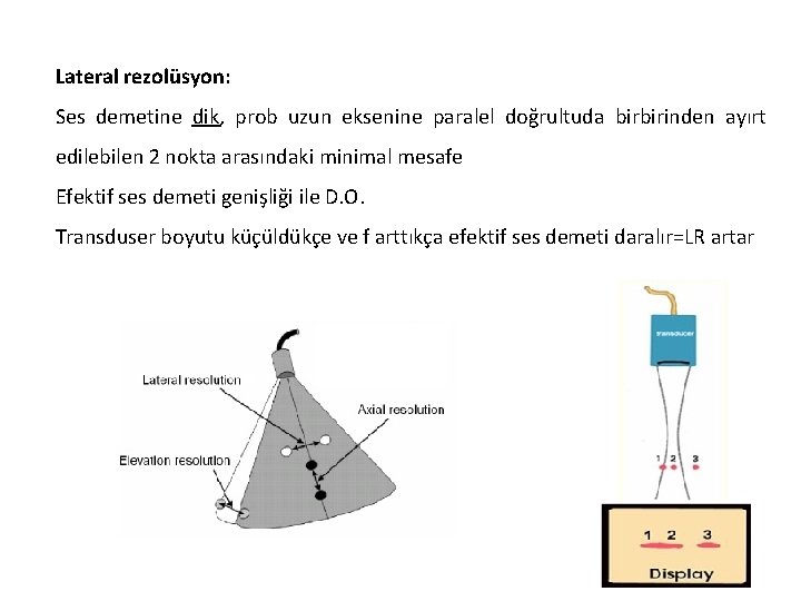Lateral rezolüsyon: Ses demetine dik, prob uzun eksenine paralel doğrultuda birbirinden ayırt edilebilen 2
