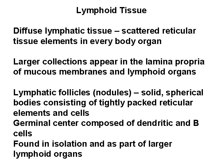 Lymphoid Tissue Diffuse lymphatic tissue – scattered reticular tissue elements in every body organ