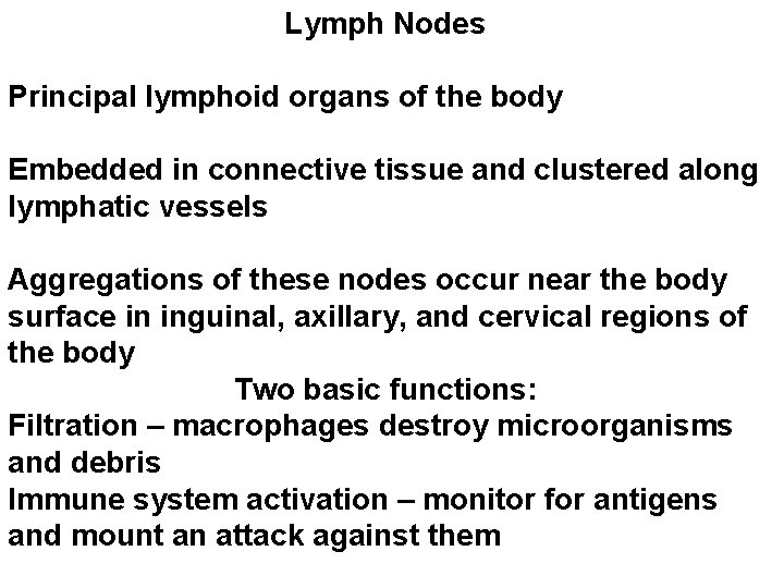 Lymph Nodes Principal lymphoid organs of the body Embedded in connective tissue and clustered