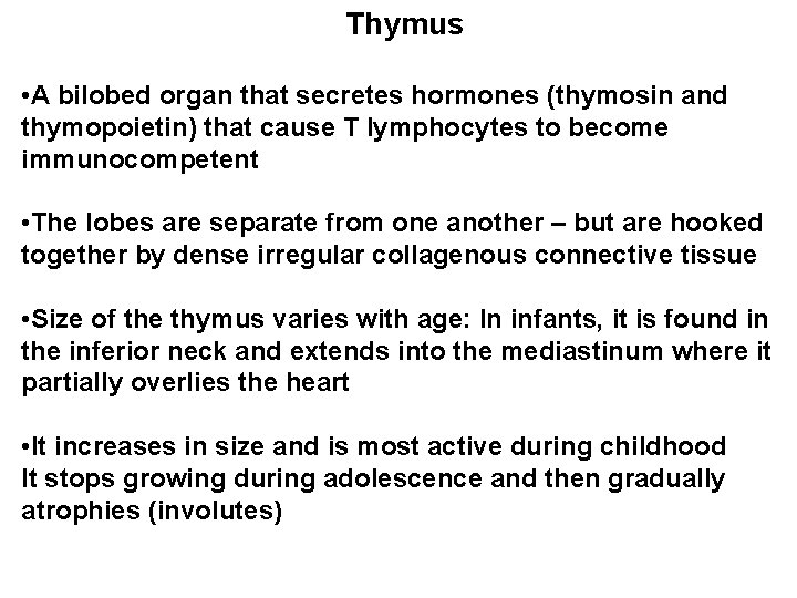 Thymus • A bilobed organ that secretes hormones (thymosin and thymopoietin) that cause T