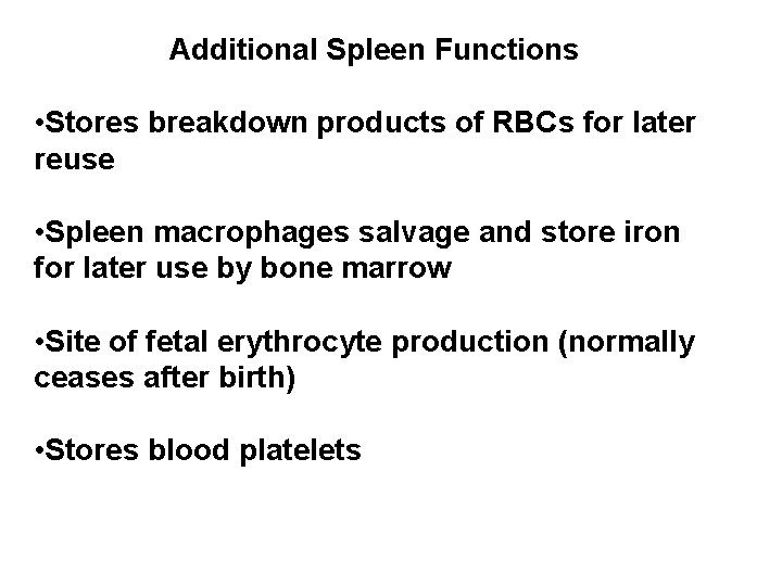 Additional Spleen Functions • Stores breakdown products of RBCs for later reuse • Spleen
