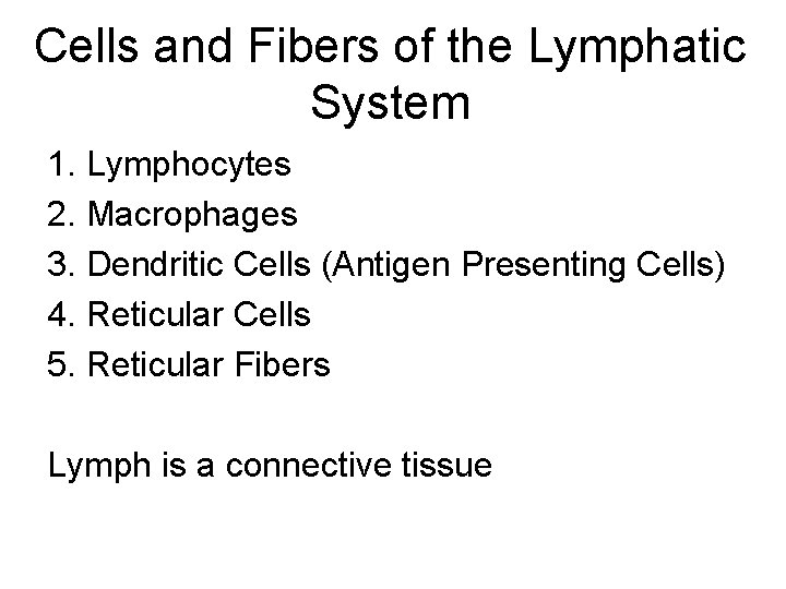 Cells and Fibers of the Lymphatic System 1. Lymphocytes 2. Macrophages 3. Dendritic Cells