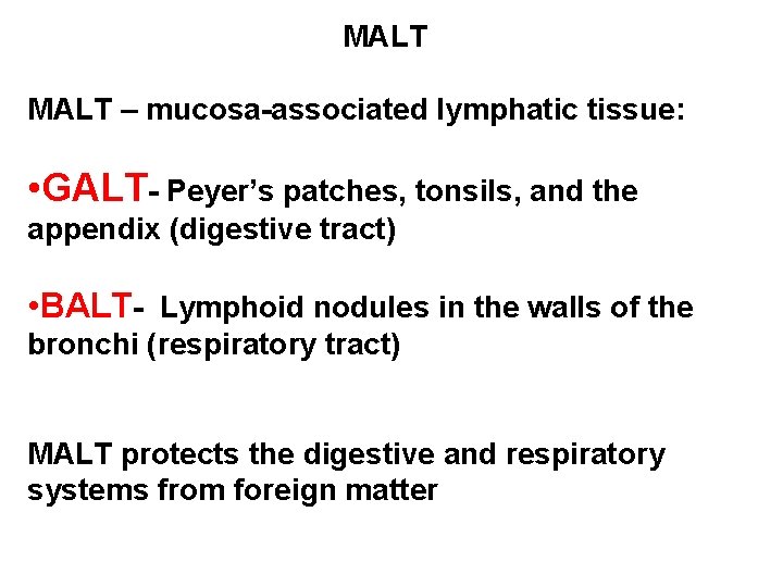 MALT – mucosa-associated lymphatic tissue: • GALT- Peyer’s patches, tonsils, and the appendix (digestive