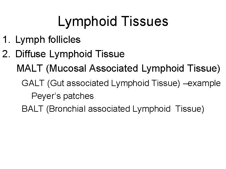 Lymphoid Tissues 1. Lymph follicles 2. Diffuse Lymphoid Tissue MALT (Mucosal Associated Lymphoid Tissue)
