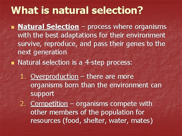 What is natural selection? n n Natural Selection – process where organisms with the