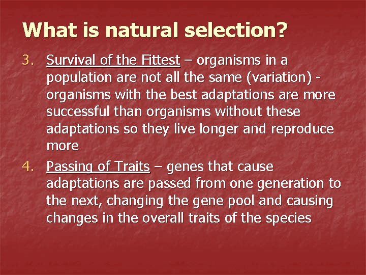 What is natural selection? 3. Survival of the Fittest – organisms in a population