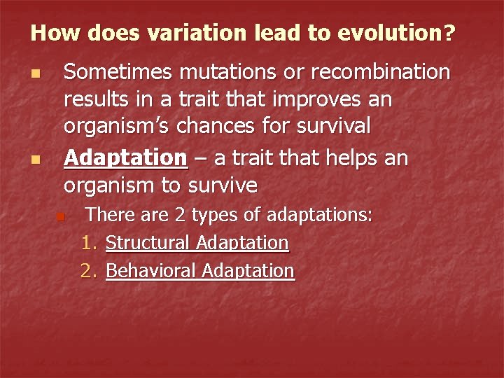 How does variation lead to evolution? n n Sometimes mutations or recombination results in