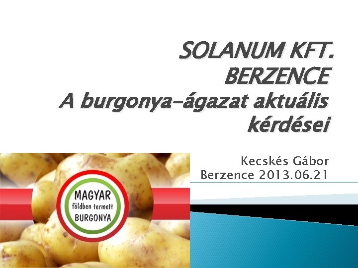 SOLANUM KFT. BERZENCE A burgonya-ágazat aktuális kérdései Kecskés Gábor Berzence 2013. 06. 21 