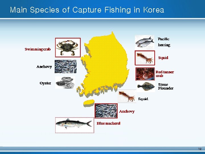 Main Species of Capture Fishing in Korea 12 