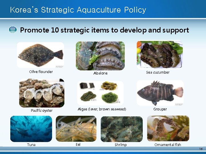 Korea’s Strategic Aquaculture Policy Promote 10 strategic items to develop and support Olive flounder