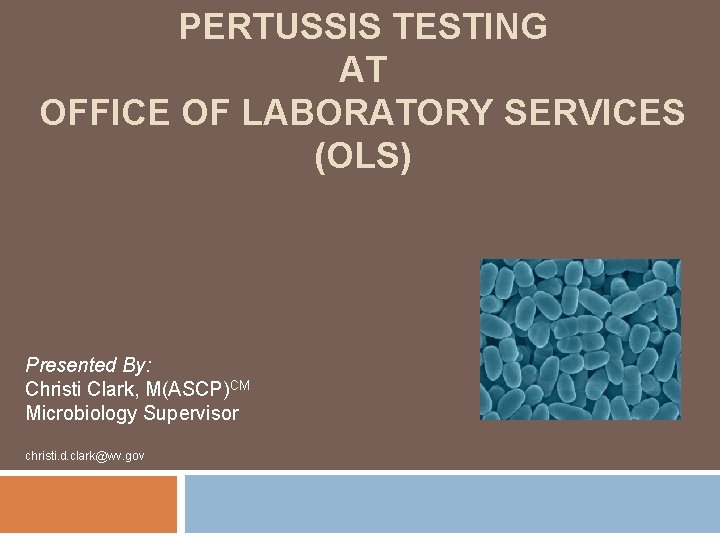 PERTUSSIS TESTING AT OFFICE OF LABORATORY SERVICES (OLS) Presented By: Christi Clark, M(ASCP)CM Microbiology