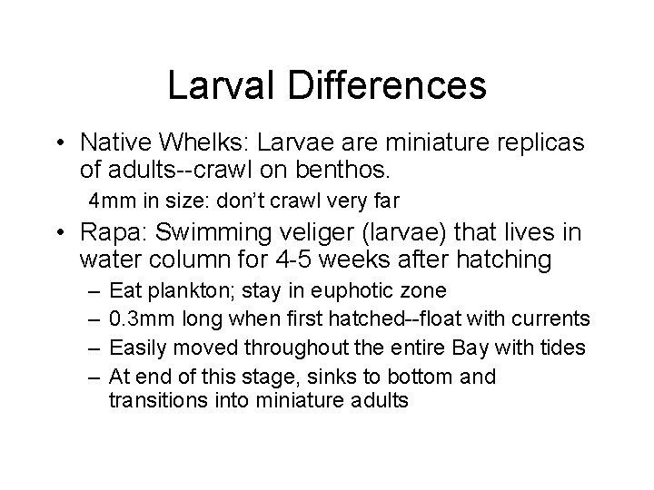 Larval Differences • Native Whelks: Larvae are miniature replicas of adults--crawl on benthos. 4