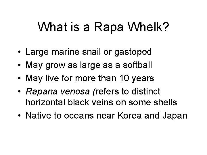 What is a Rapa Whelk? • • Large marine snail or gastopod May grow