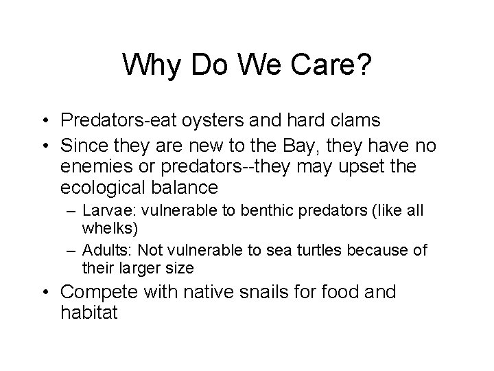 Why Do We Care? • Predators-eat oysters and hard clams • Since they are