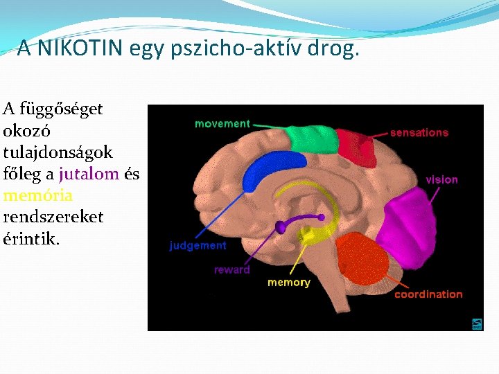 A NIKOTIN egy pszicho-aktív drog. A függőséget okozó tulajdonságok főleg a jutalom és memória