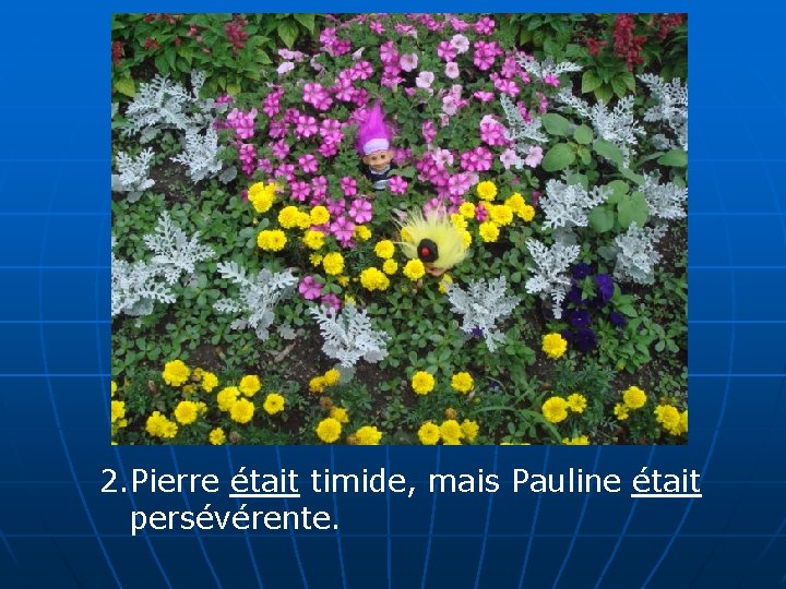 2. Pierre était timide, mais Pauline était persévérente. 