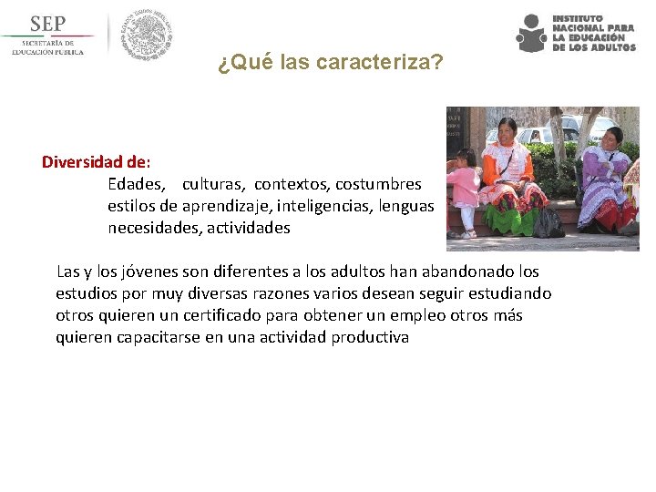 ¿Qué las caracteriza? Diversidad de: Edades, culturas, contextos, costumbres estilos de aprendizaje, inteligencias, lenguas