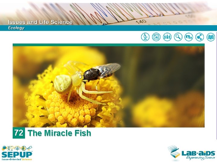 Mircale Fish 72 The Miracle Fish LIMITED LICENSE TO MODIFY