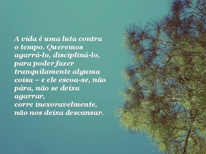 A vida é uma luta contra o tempo. Queremos agarrá-lo, discipliná-lo, para poder fazer